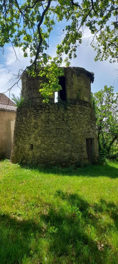 Вілла Moulin De Bigorre Saint-Genes-de-Castillon Екстер'єр фото