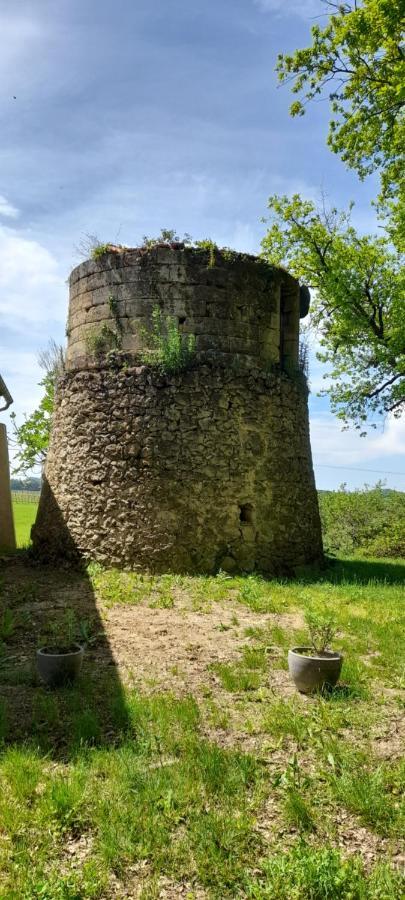 Вілла Moulin De Bigorre Saint-Genes-de-Castillon Екстер'єр фото